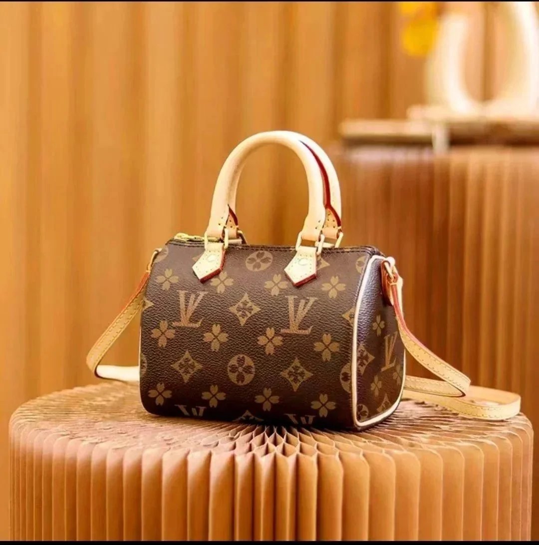 Louis Vuitton Monogram Canvas Mini Speedy Bag
