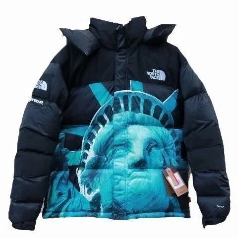 The North Face Statue of Liberty Print Down Jacket