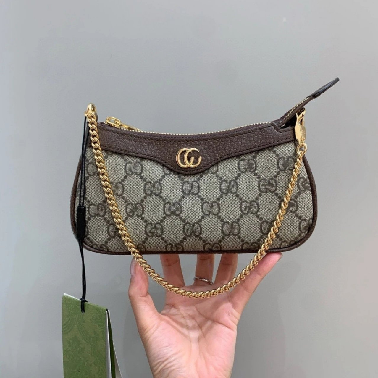 Gucci GG Marmont Mini Chain Bag in Brown and Beige
